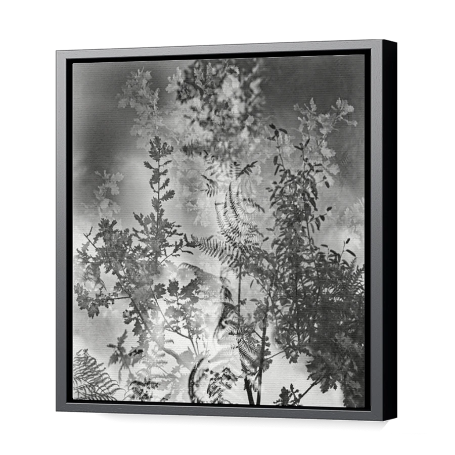 Thumbnail for Canvas - Black Floating Frame