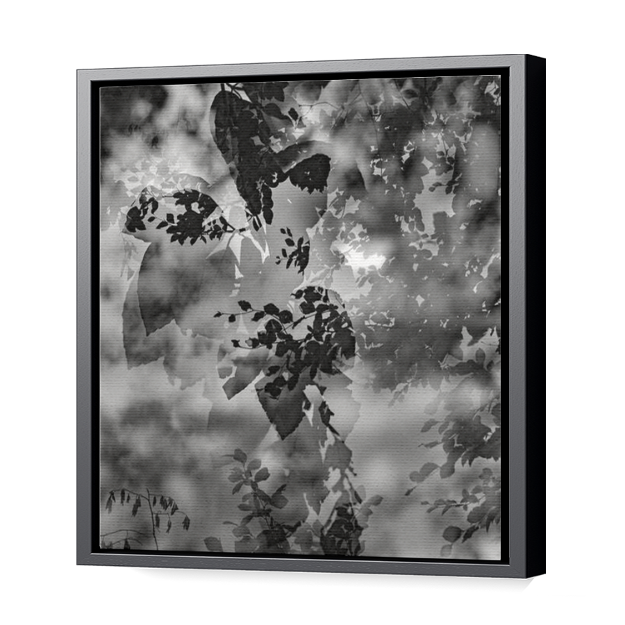 Thumbnail for Canvas - Black Floating Frame