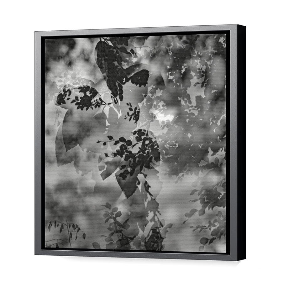 Thumbnail for Canvas - Black Floating Frame