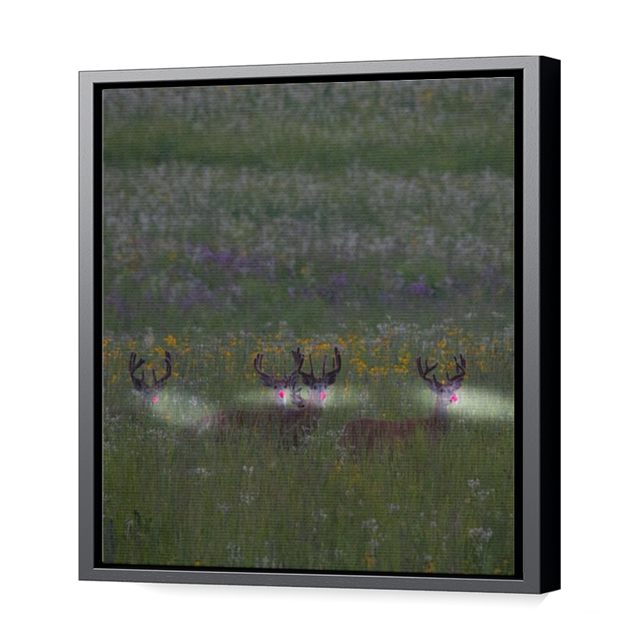 Thumbnail for Canvas - Black Floating Frame