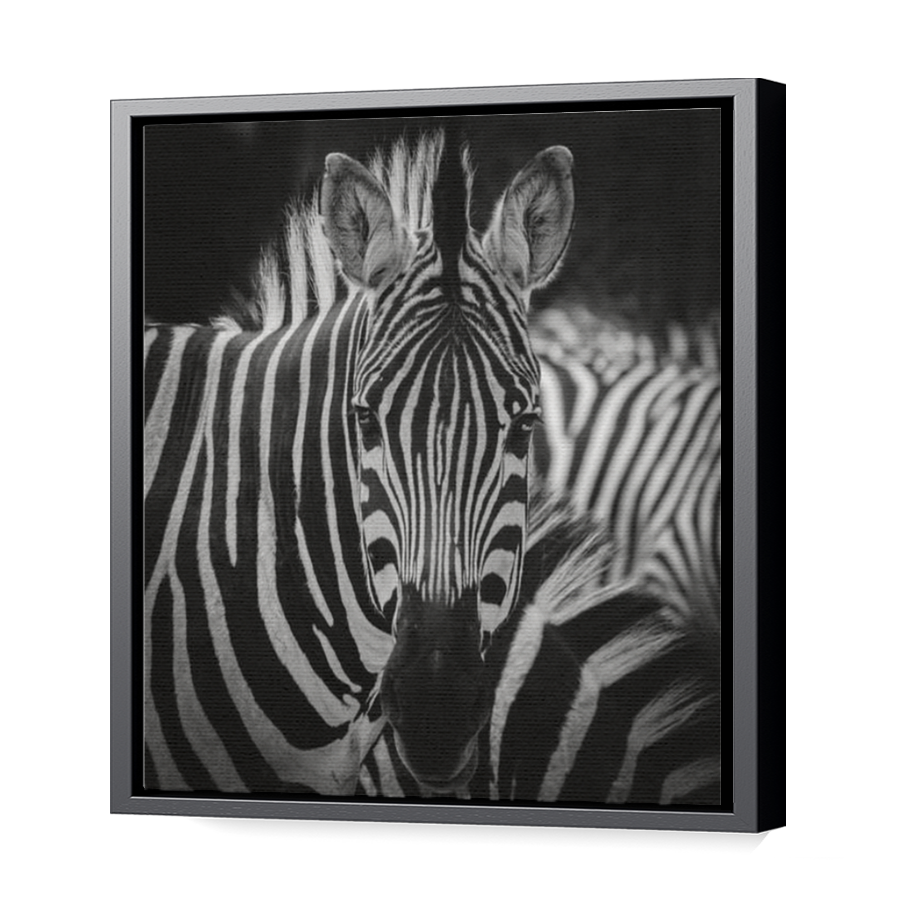 Thumbnail for Canvas - Black Floating Frame