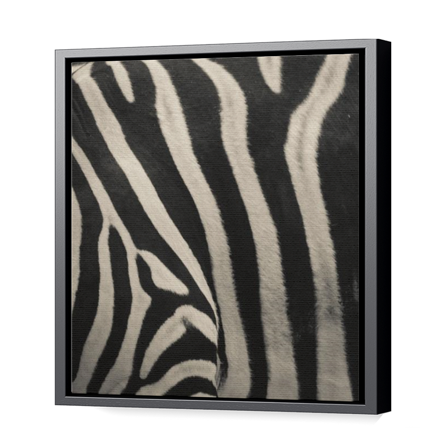 Thumbnail for Canvas - Black Floating Frame