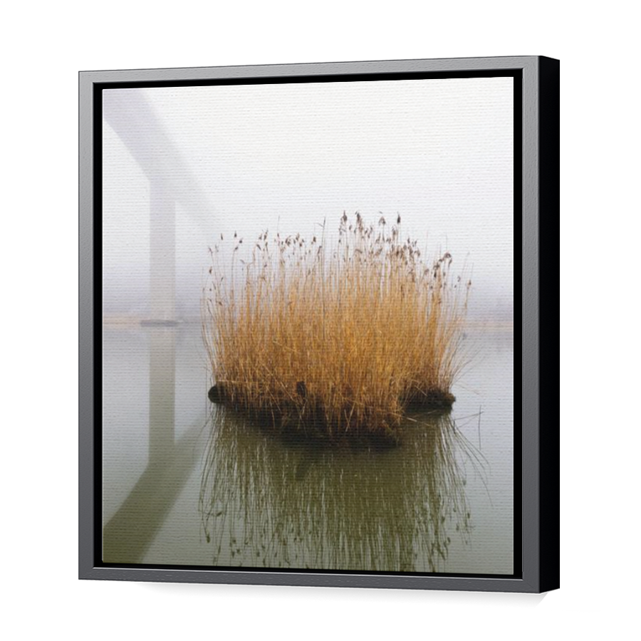 Thumbnail for Canvas - Black Floating Frame