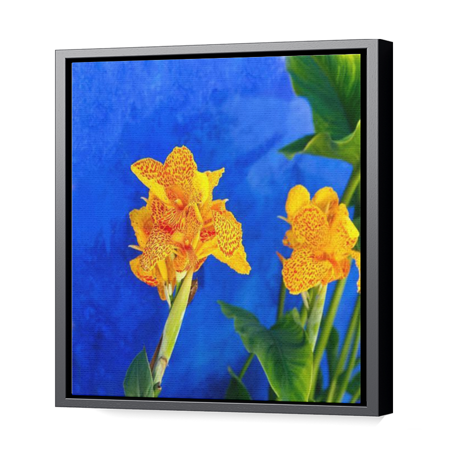 Thumbnail for Canvas - Black Floating Frame