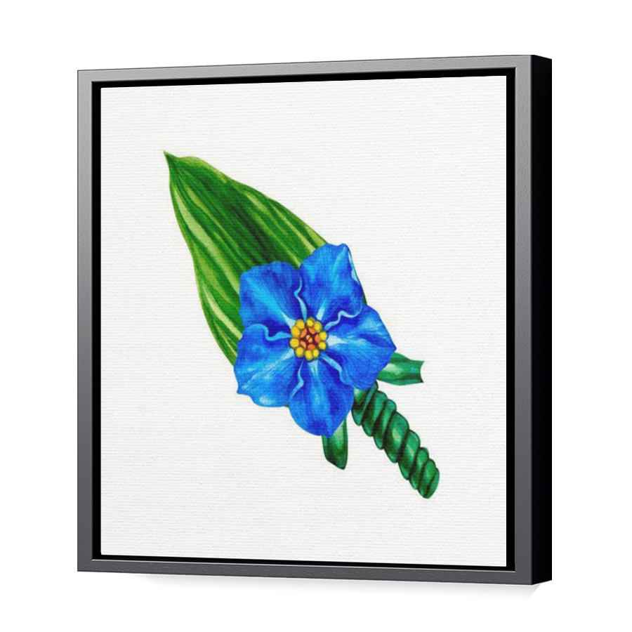 Thumbnail for Canvas - Black Floating Frame