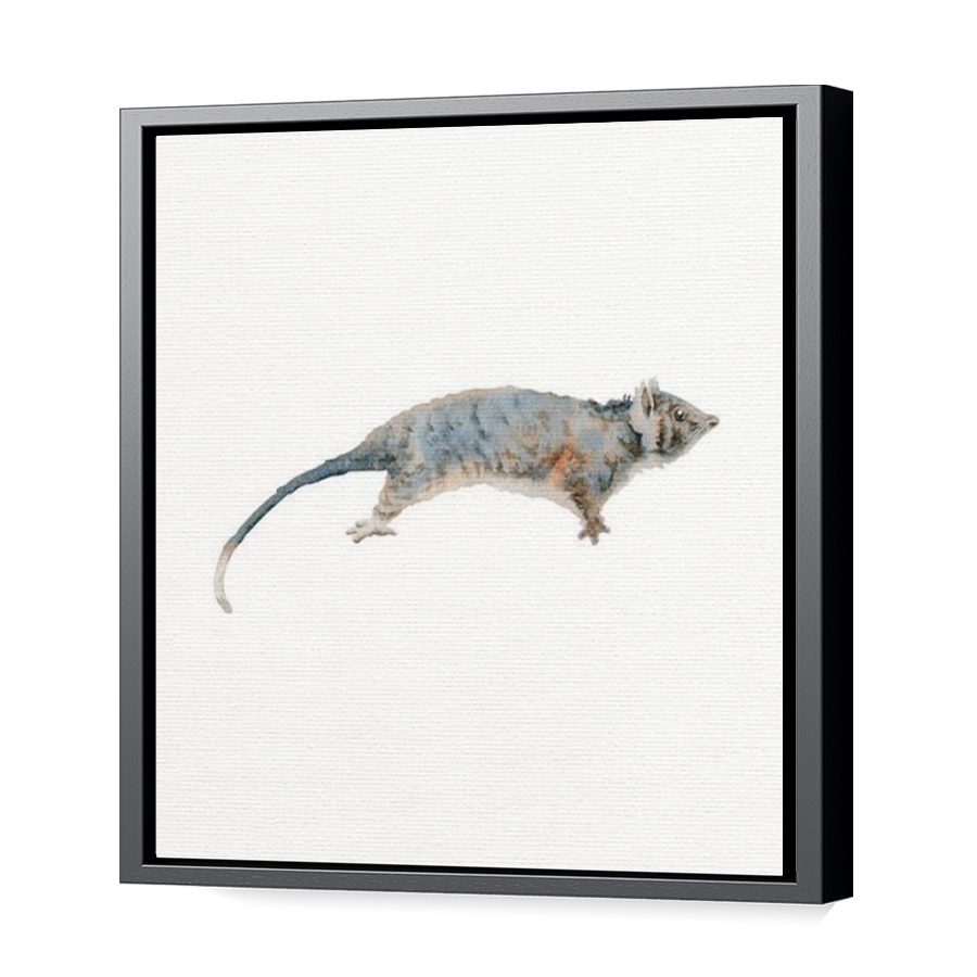 Thumbnail for Canvas - Black Floating Frame