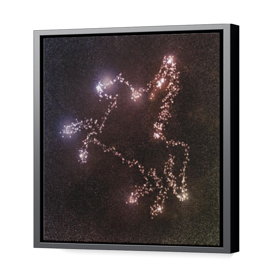Thumbnail for Canvas - Black Floating Frame