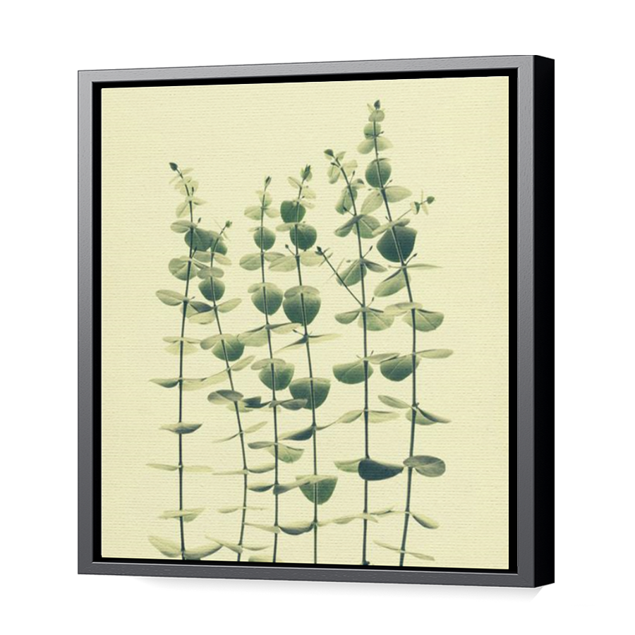 Thumbnail for Canvas - Black Floating Frame
