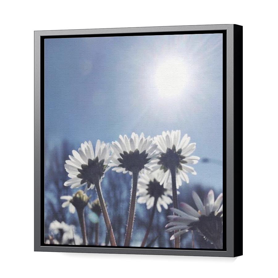 Thumbnail for Canvas - Black Floating Frame