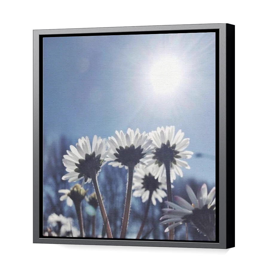 Thumbnail for Canvas - Black Floating Frame