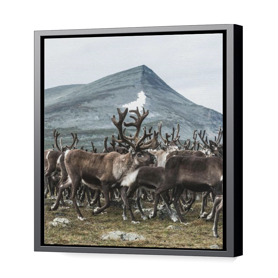 Thumbnail for Canvas - Black Floating Frame