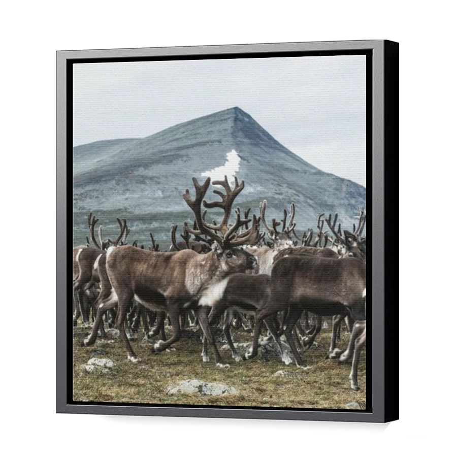 Thumbnail for Canvas - Black Floating Frame