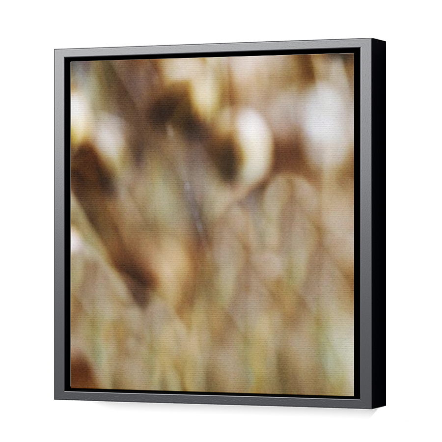 Thumbnail for Canvas - Black Floating Frame