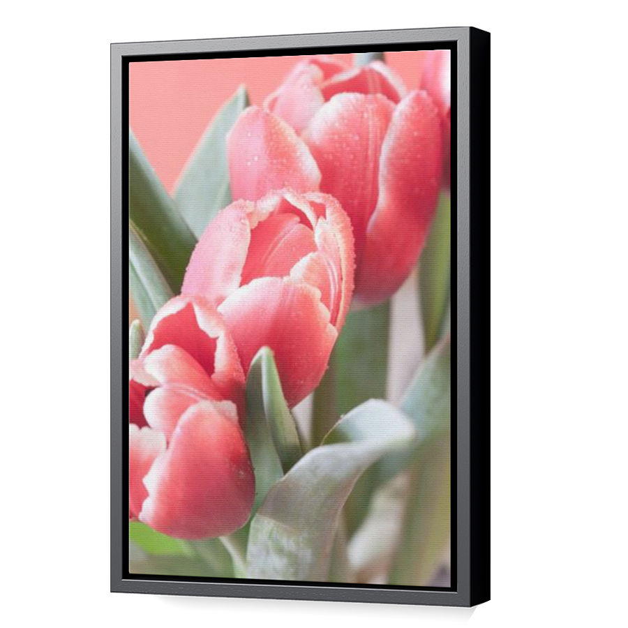Thumbnail for Canvas - Black Floating Frame