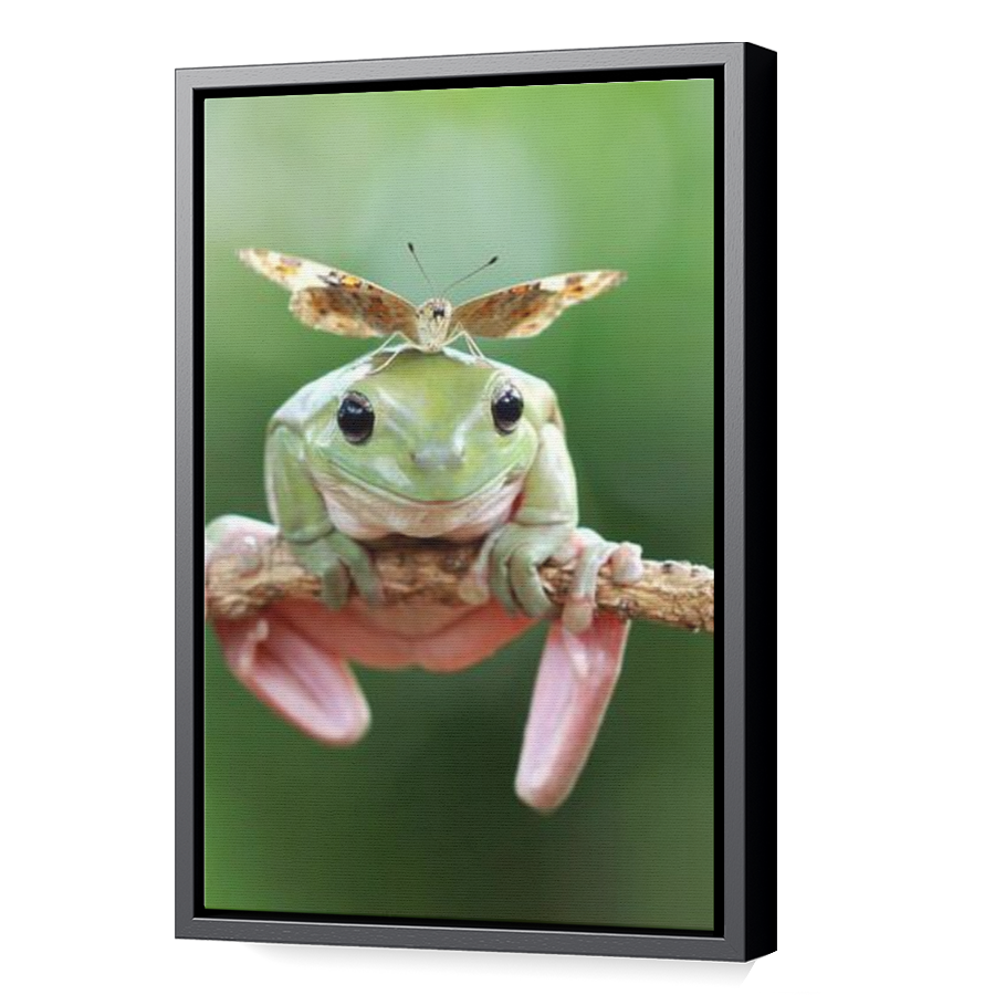 Thumbnail for Canvas - Black Floating Frame