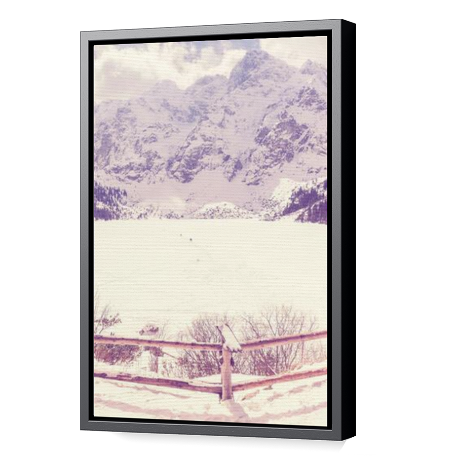 Thumbnail for Canvas - Black Floating Frame