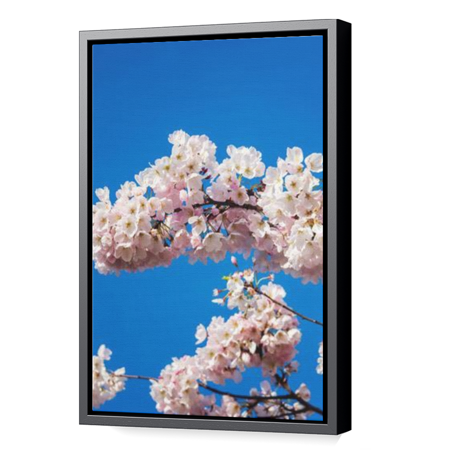 Thumbnail for Canvas - Black Floating Frame