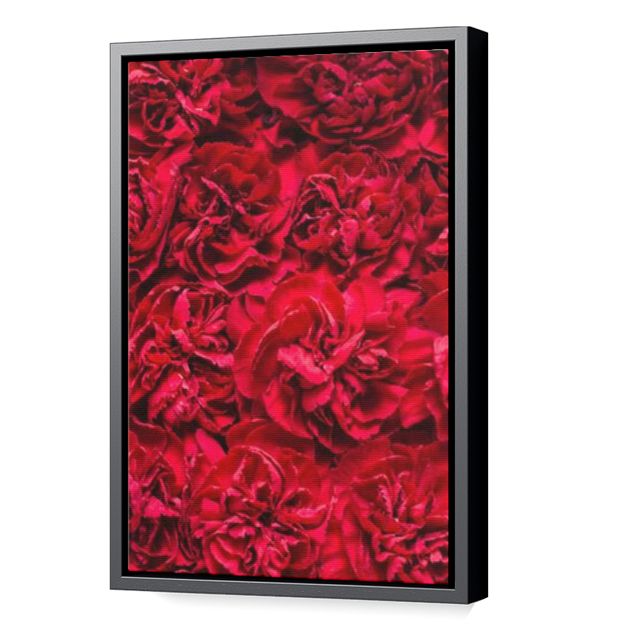 Thumbnail for Canvas - Black Floating Frame