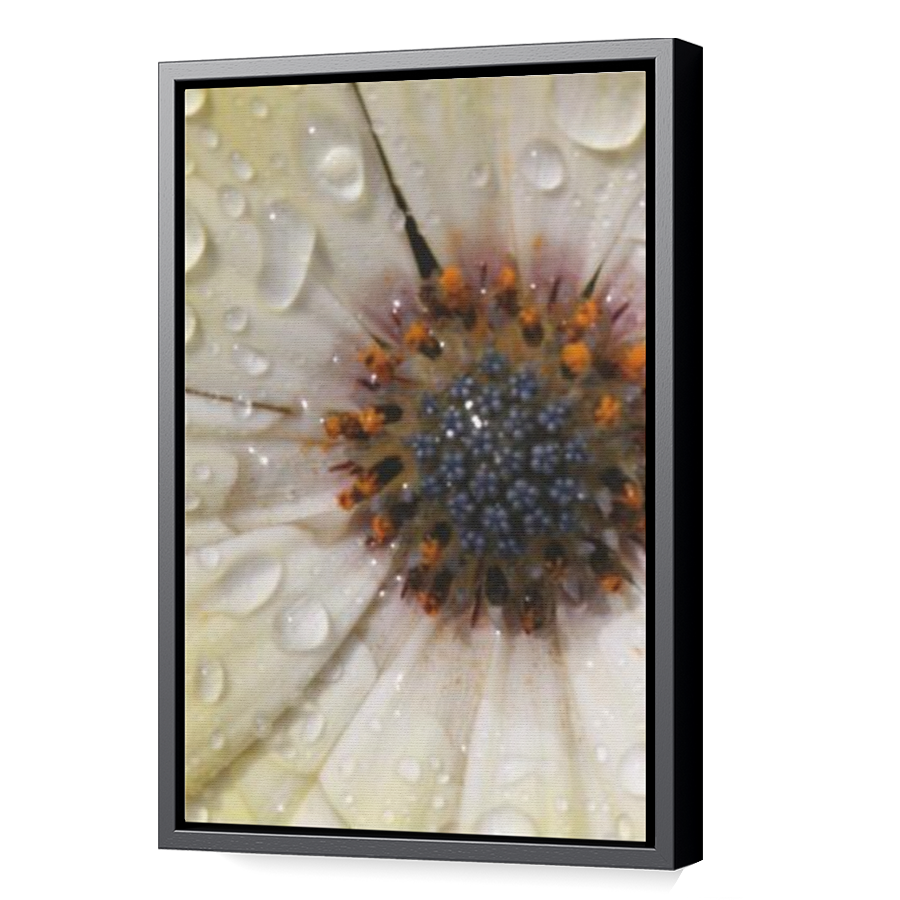 Thumbnail for Canvas - Black Floating Frame