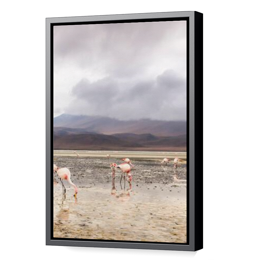 Thumbnail for Canvas - Black Floating Frame