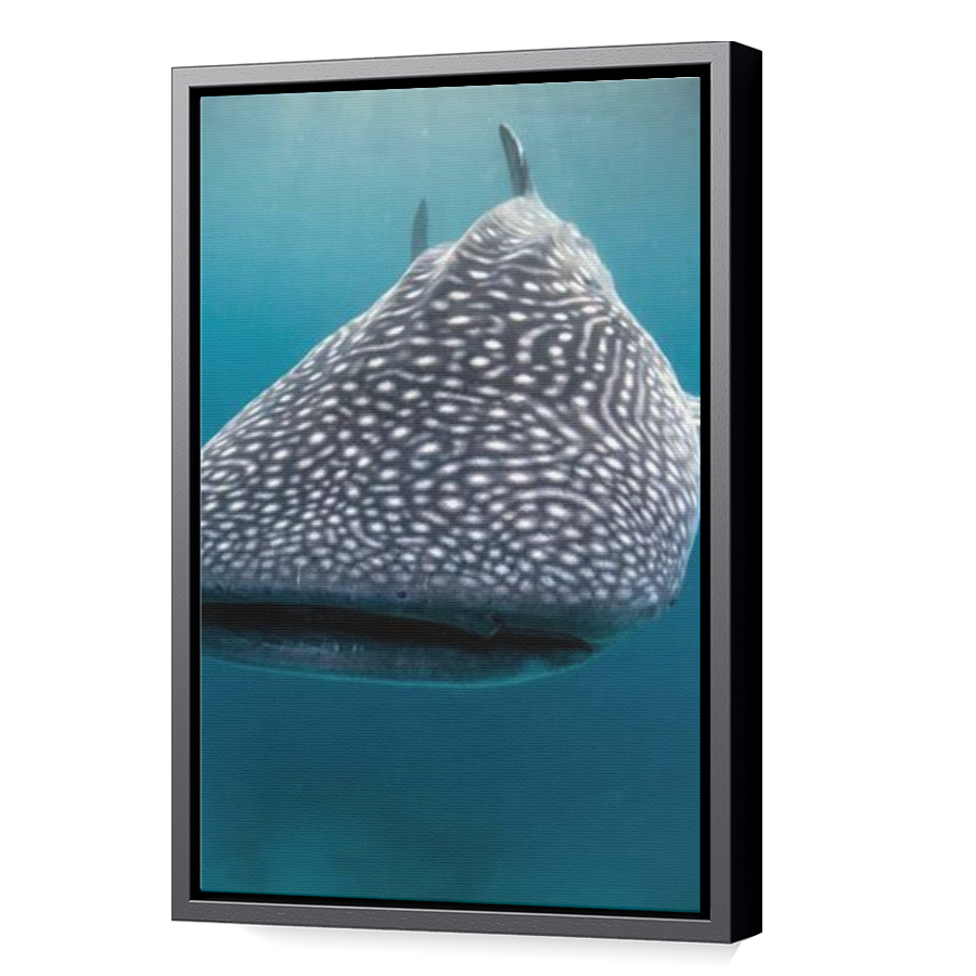 Thumbnail for Canvas - Black Floating Frame