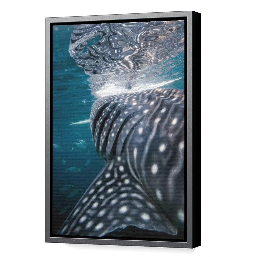 Thumbnail for Canvas - Black Floating Frame