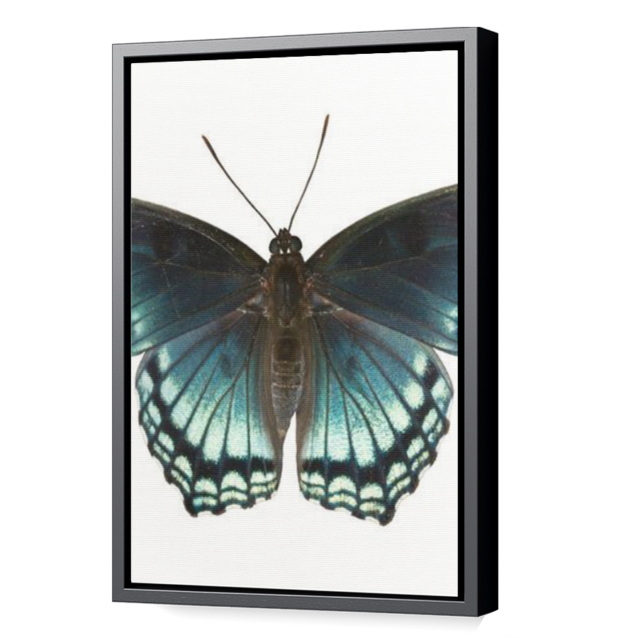 Thumbnail for Canvas - Black Floating Frame