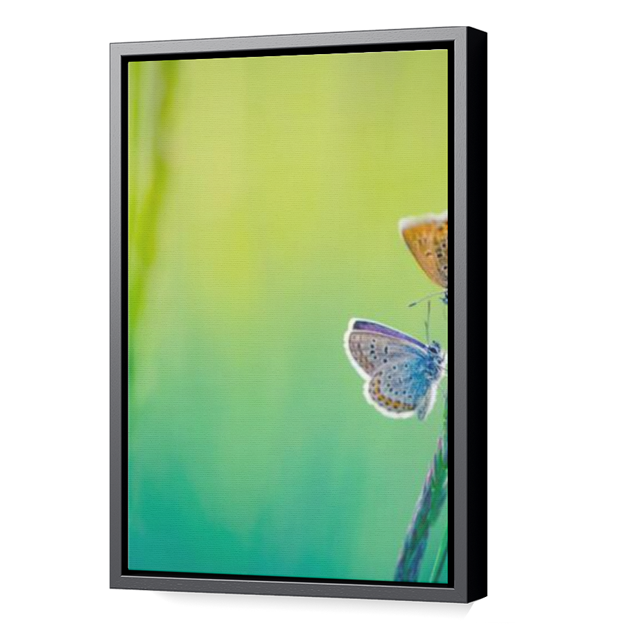 Thumbnail for Canvas - Black Floating Frame