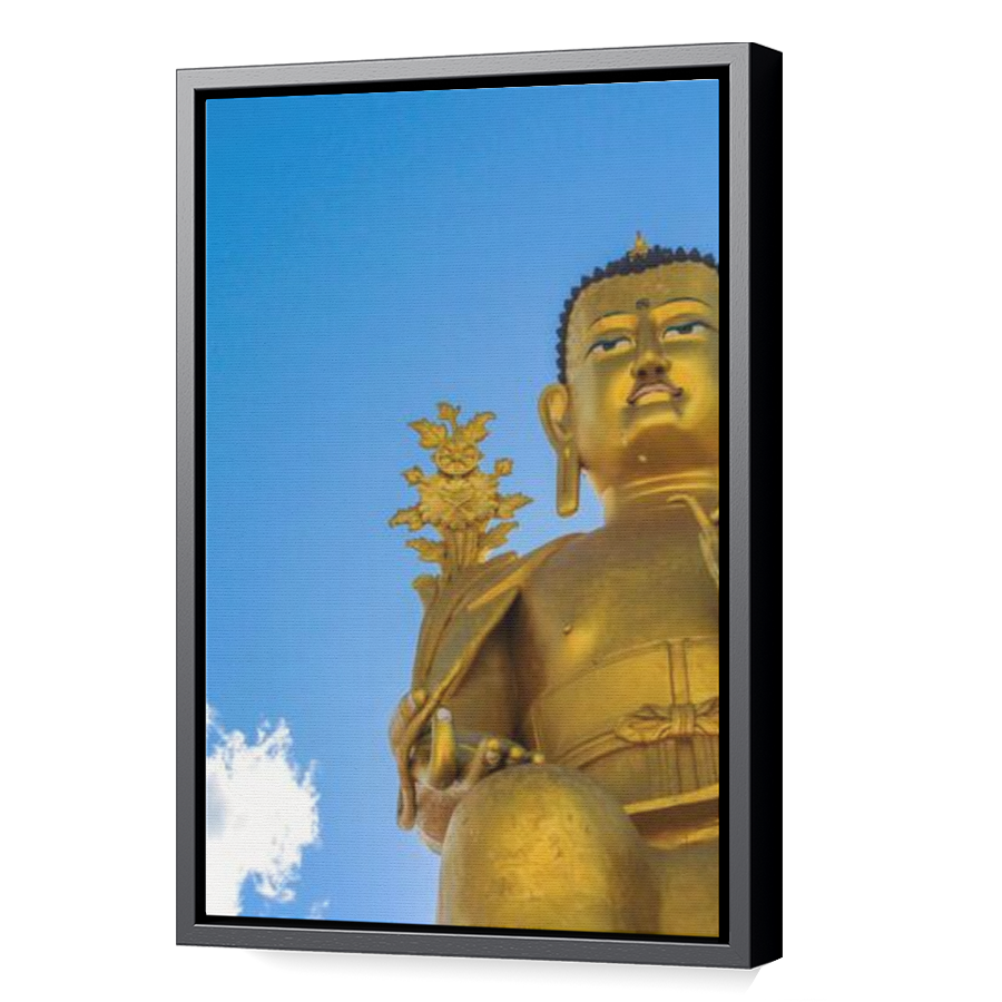 Thumbnail for Canvas - Black Floating Frame