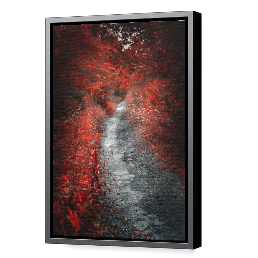 Thumbnail for Canvas - Black Floating Frame