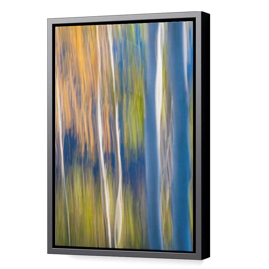 Thumbnail for Canvas - Black Floating Frame