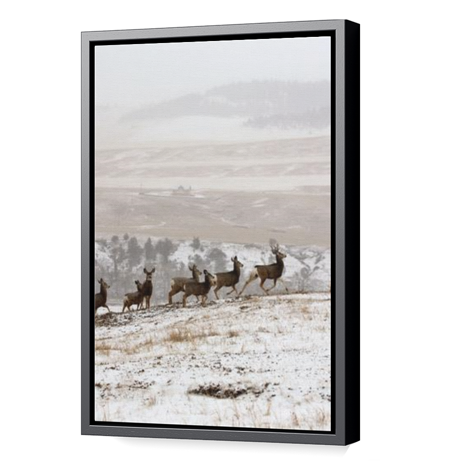 Thumbnail for Canvas - Black Floating Frame