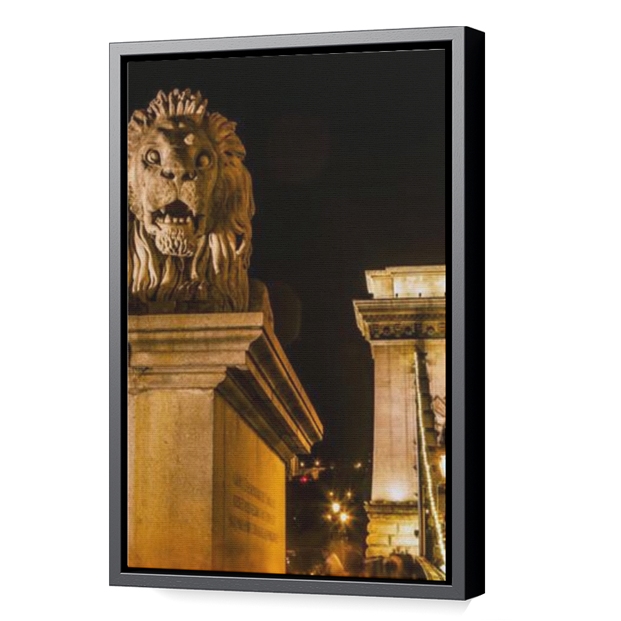 Thumbnail for Canvas - Black Floating Frame