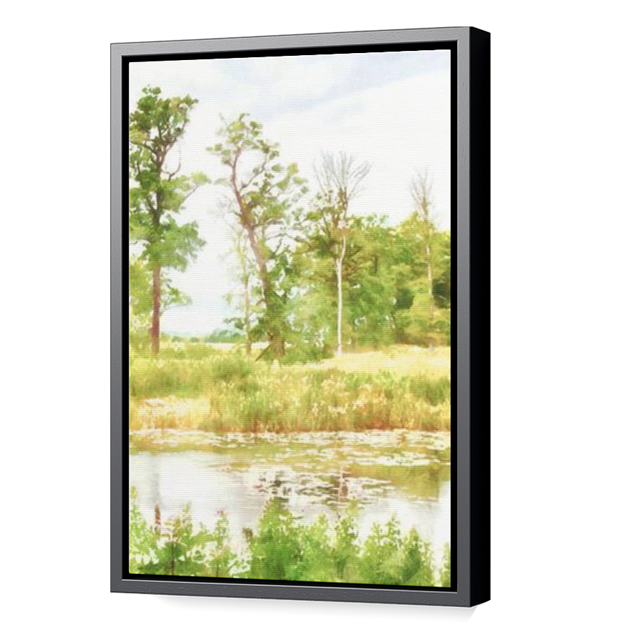 Thumbnail for Canvas - Black Floating Frame