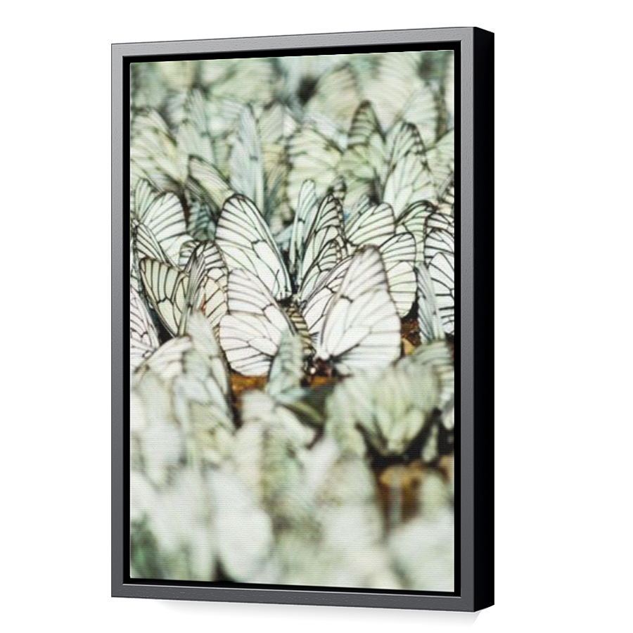 Thumbnail for Canvas - Black Floating Frame