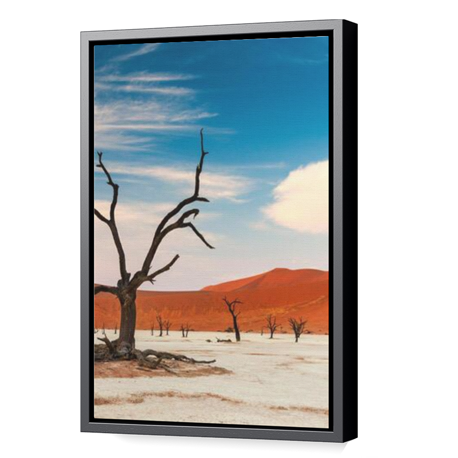 Thumbnail for Canvas - Black Floating Frame