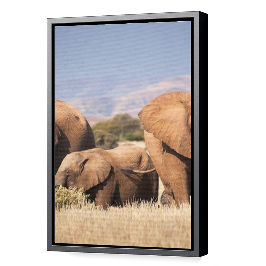 Thumbnail for Canvas - Black Floating Frame