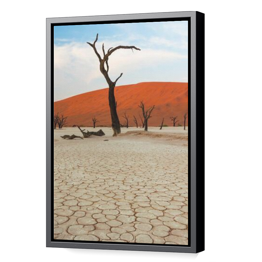 Thumbnail for Canvas - Black Floating Frame