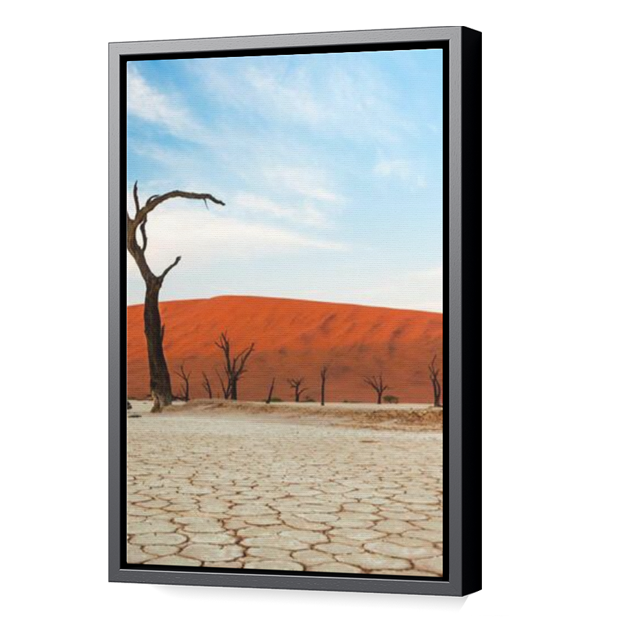 Thumbnail for Canvas - Black Floating Frame