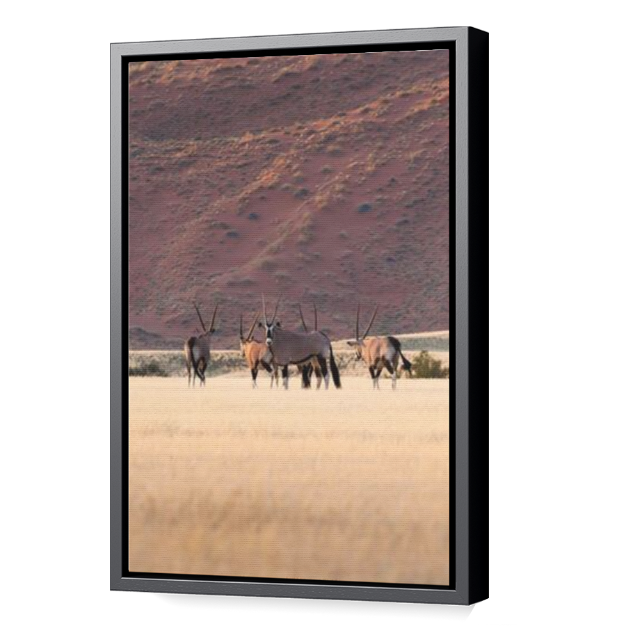 Thumbnail for Canvas - Black Floating Frame