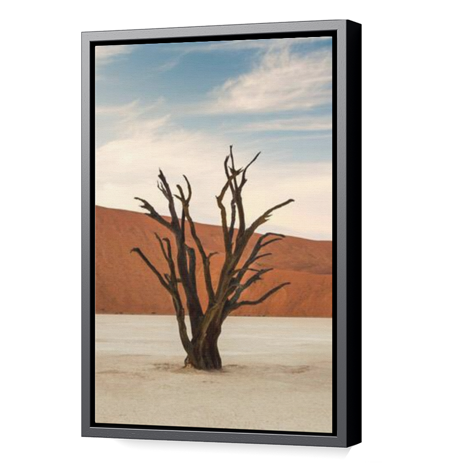 Thumbnail for Canvas - Black Floating Frame