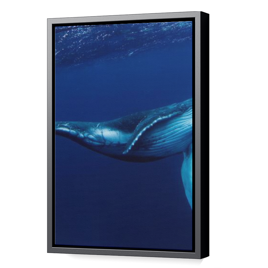 Thumbnail for Canvas - Black Floating Frame
