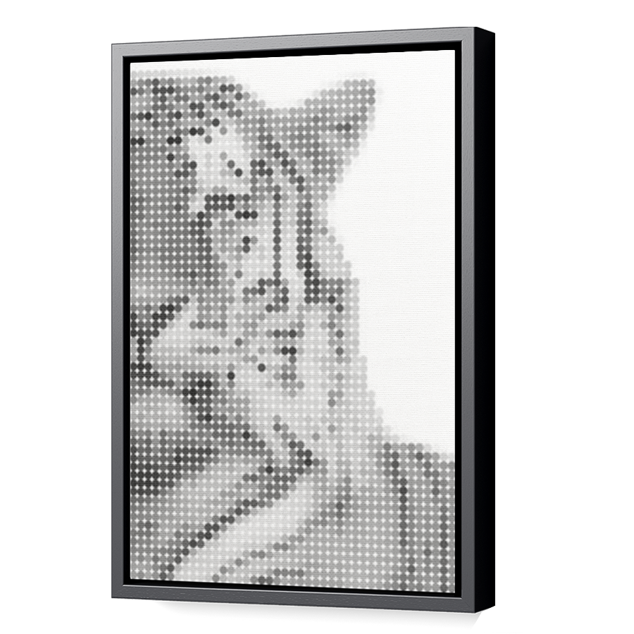 Thumbnail for Canvas - Black Floating Frame