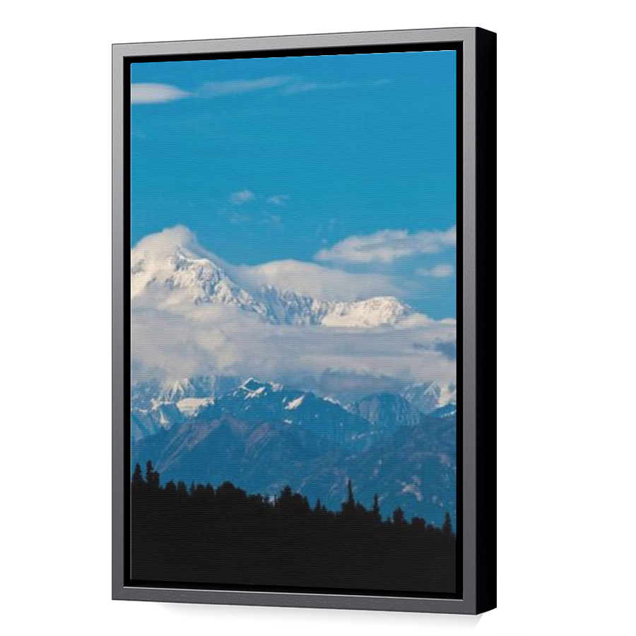 Thumbnail for Canvas - Black Floating Frame