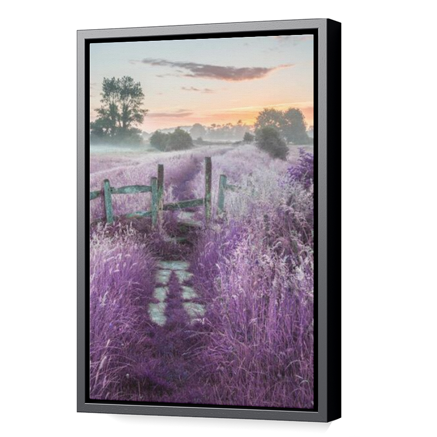 Thumbnail for Canvas - Black Floating Frame