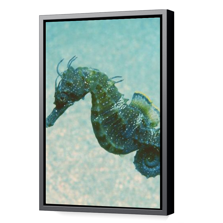 Thumbnail for Canvas - Black Floating Frame