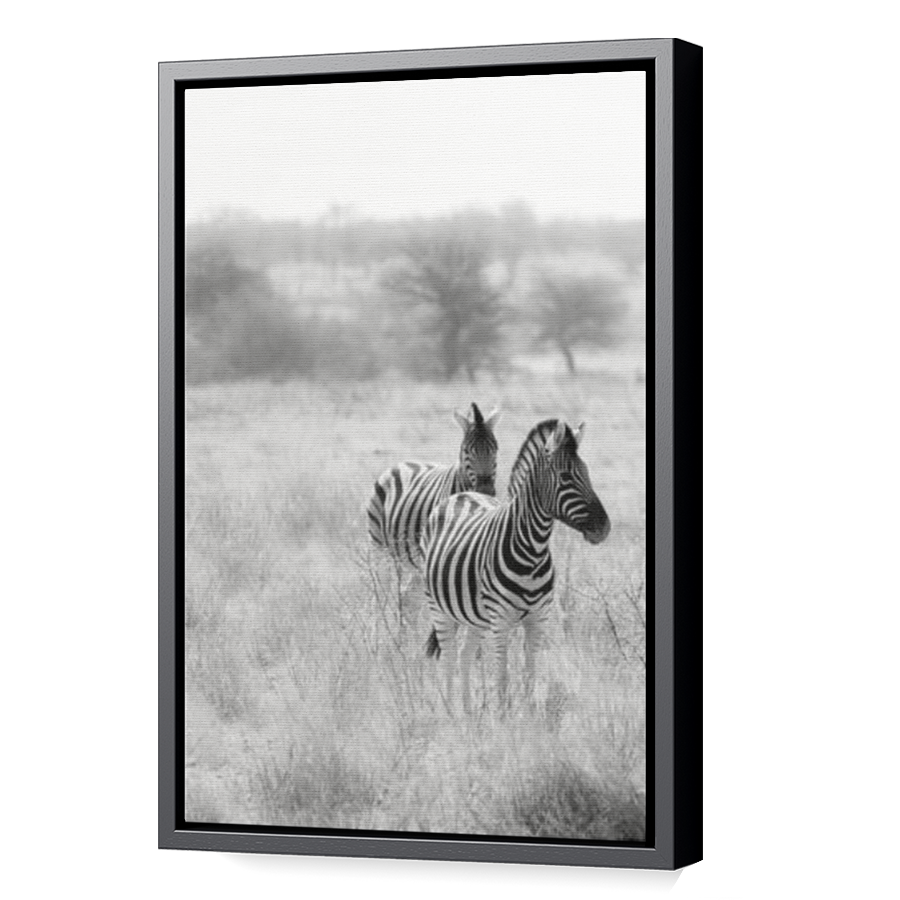 Thumbnail for Canvas - Black Floating Frame