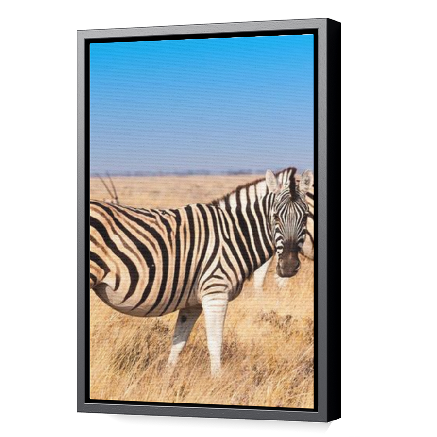 Thumbnail for Canvas - Black Floating Frame