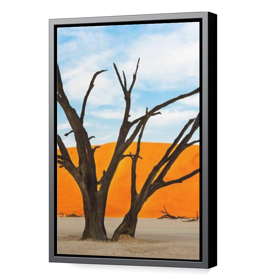 Thumbnail for Canvas - Black Floating Frame
