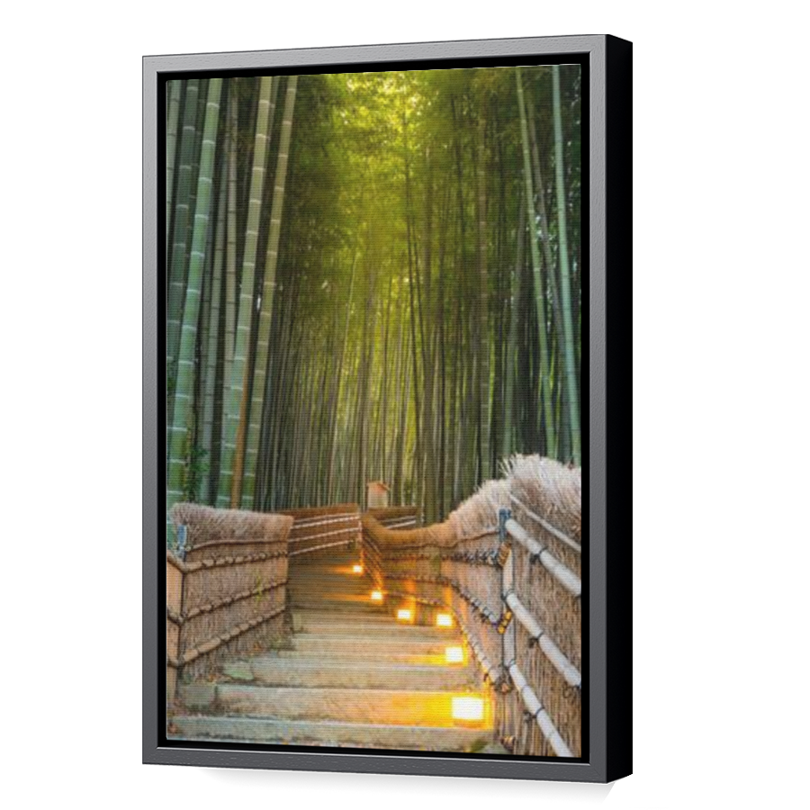 Thumbnail for Canvas - Black Floating Frame